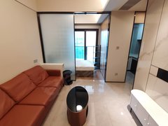 深圳龙华深圳北站鸿荣源天俊48平精装修1室1厅1卫家私齐全民水民电随时看房出租房源真实图片