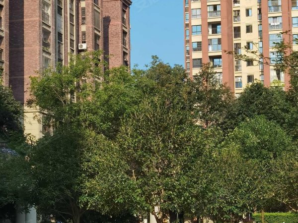 重庆荣昌荣昌城区拓新红城拓新红城1房精装修,家具家电齐全,拎包入住!