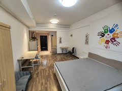 宁德蕉城万达广场逸涛东湖臻悦 1室1厅1卫 48平 精装修 配套齐全出租房源真实图片