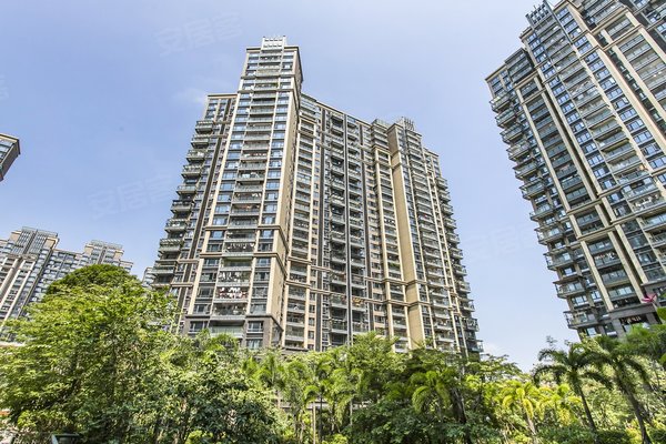 中洲华府(二期),创业二路-深圳中洲华府(二期)二手房,租房-深圳安居客