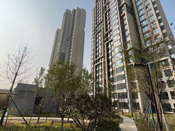 进贤双泉嘉苑北沙滩学院 圣熙八号 字节 汇智大厦 双泉嘉苑 56南向