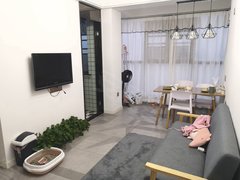 仙桃沙嘴沙嘴城区及第世家 2室2厅 下楼就是学校 生活配套齐全 采光好精装修出租房源真实图片