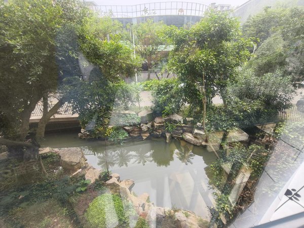 弥勒湖泉片区湖泉生态园湖泉湾1号两湖之间景观房精装带家具家电低价出租拎包入住房子保养清秀出租房源真实图片