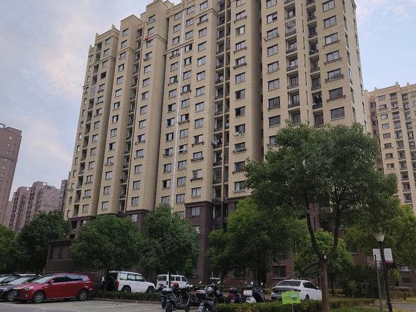 上海奉贤金汇南行兴苑龙湖天街旁 精装大三房 初次出租 拎包入住 小区