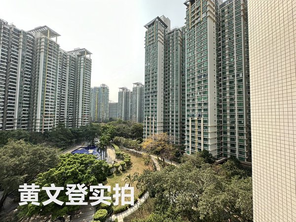 皇御苑(一期) 1室1厅1卫 30平 配套齐全 电梯房,福田租房-深圳58安居