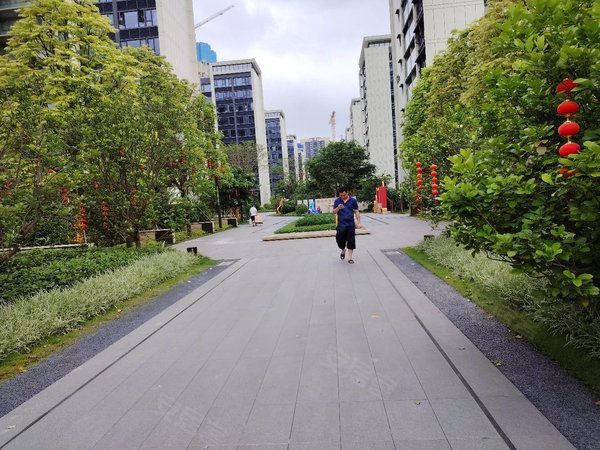 【多图】深铁瑞城,光明租房,新出,光明长圳地铁口深铁瑞城精装大三房