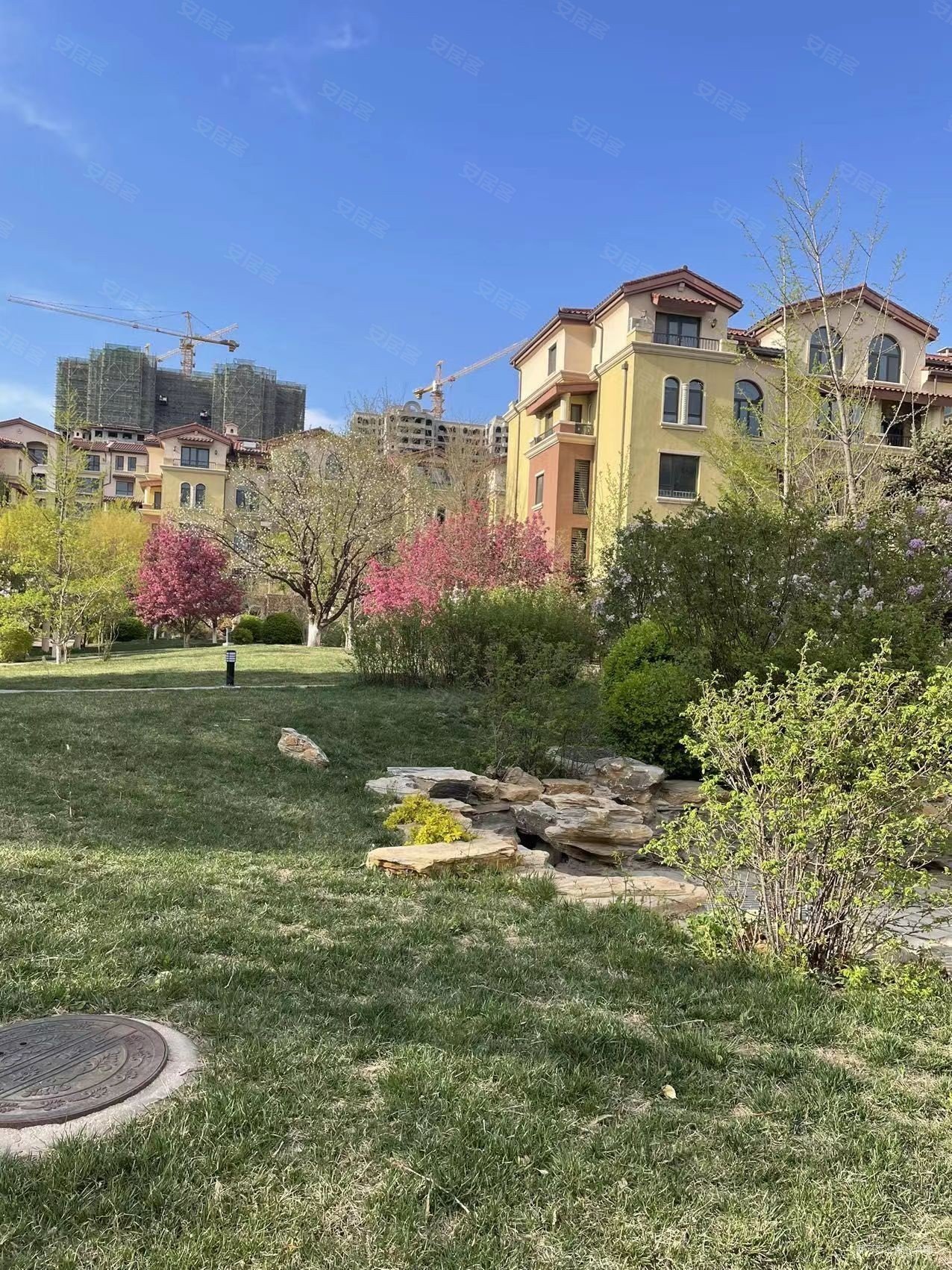 世茂香颂双卫中间楼层居住密度低南北通透电梯房