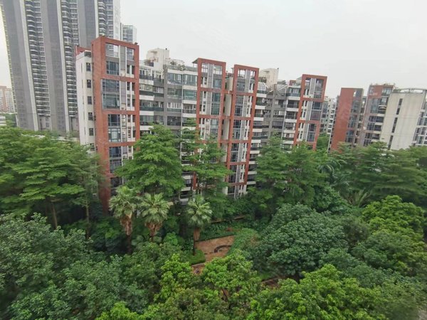 广州海珠琶洲雅郡花园雅郡花园 三期 四房 南向 家私电器齐 看房方便