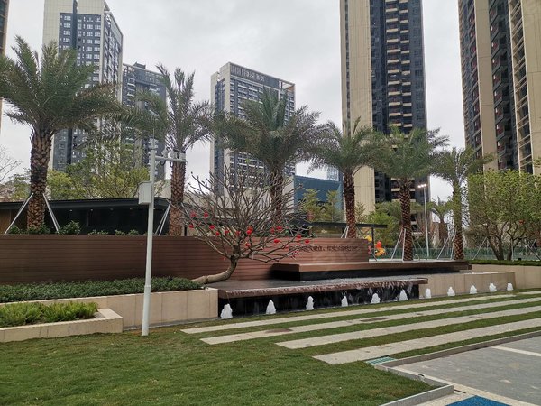 深圳光明光明勤诚达正大城悦园沃尔玛高科深圳湾实验室对面正大城三期