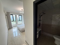 郑州郑东新区新东站片海马公园D区 郑州东站旁边 五号线 拎包入住 可月付 短租出租房源真实图片