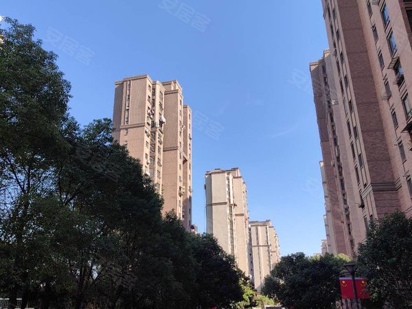 上海松江泗泾新凯城尚樱苑尚樱苑一房租,2800!