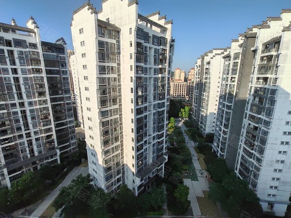 珠海金湾红旗柠檬印象正光广场大一房,拎包入住出租房源真实图片