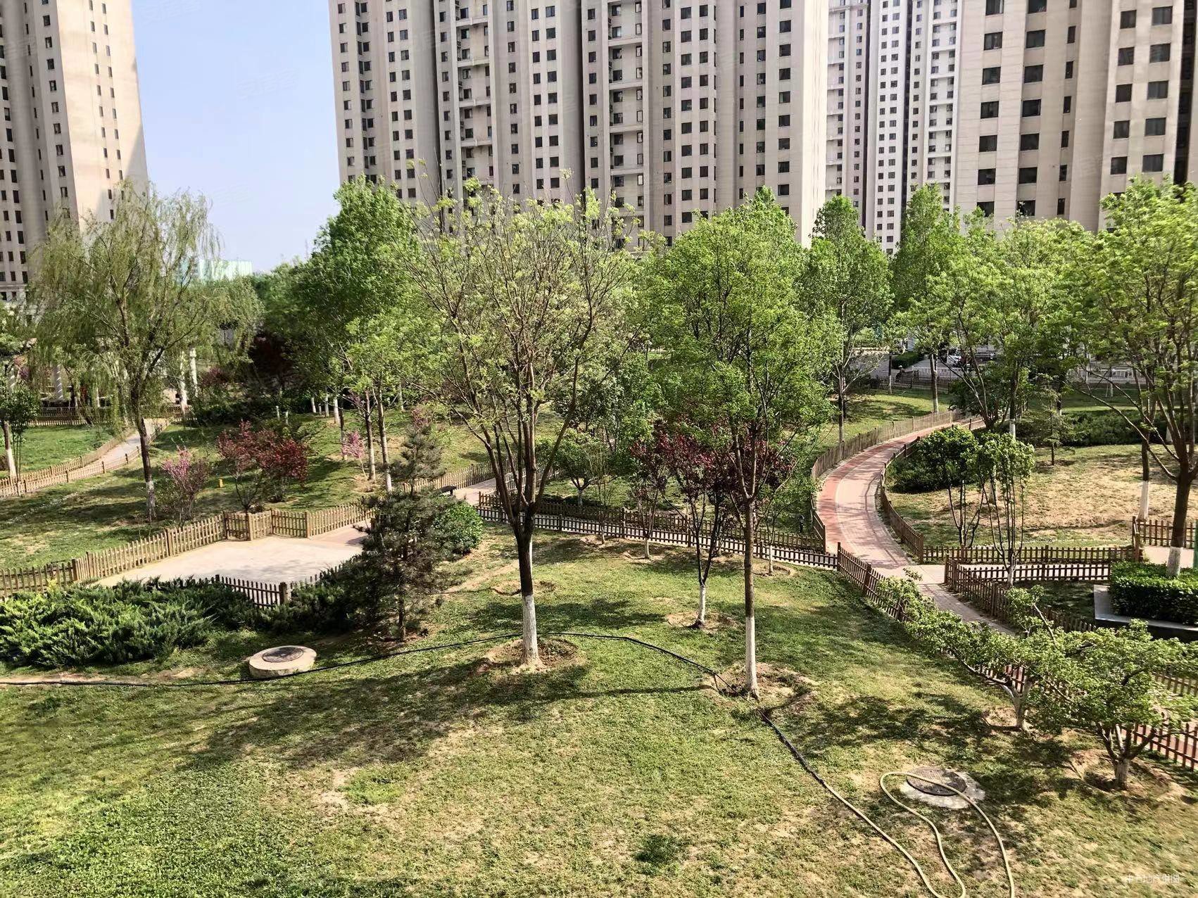 收费1个点盛景园东南向一居房本满二年诚心出售配合看房