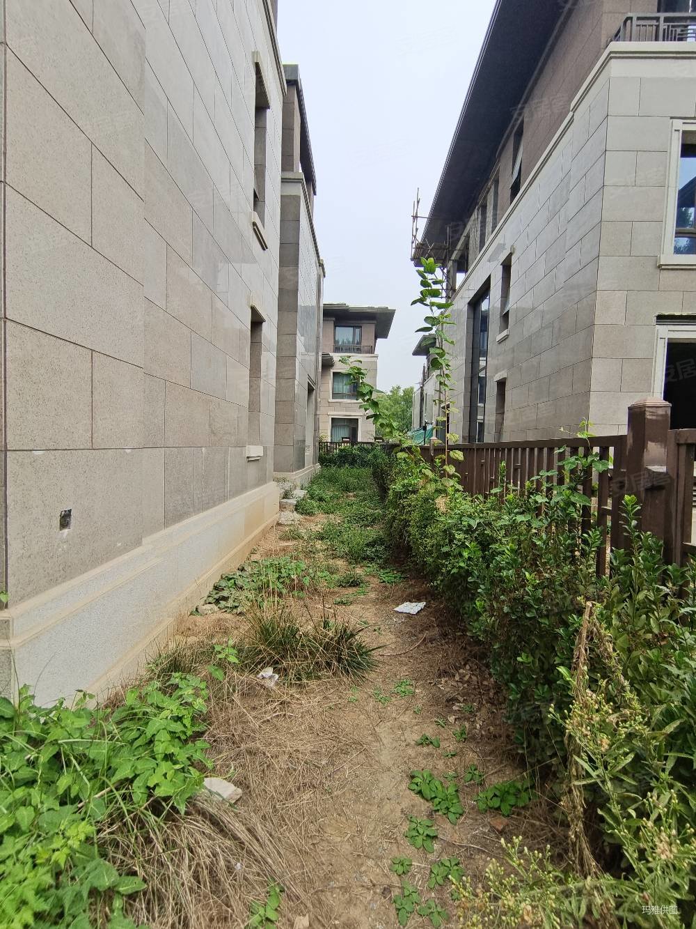 南湖边联排别墅金地九玺超火小区产权清晰看房方便