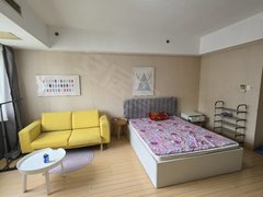 南京玄武玄武门峨眉公寓，带电梯，转租，精装修一室，靠近鼓楼地铁站出租房源真实图片