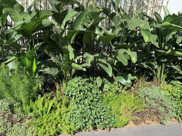 二里2号大院,安吉租房,整租安吉万达旁2号地铁苏卢村两房一厅配套出租