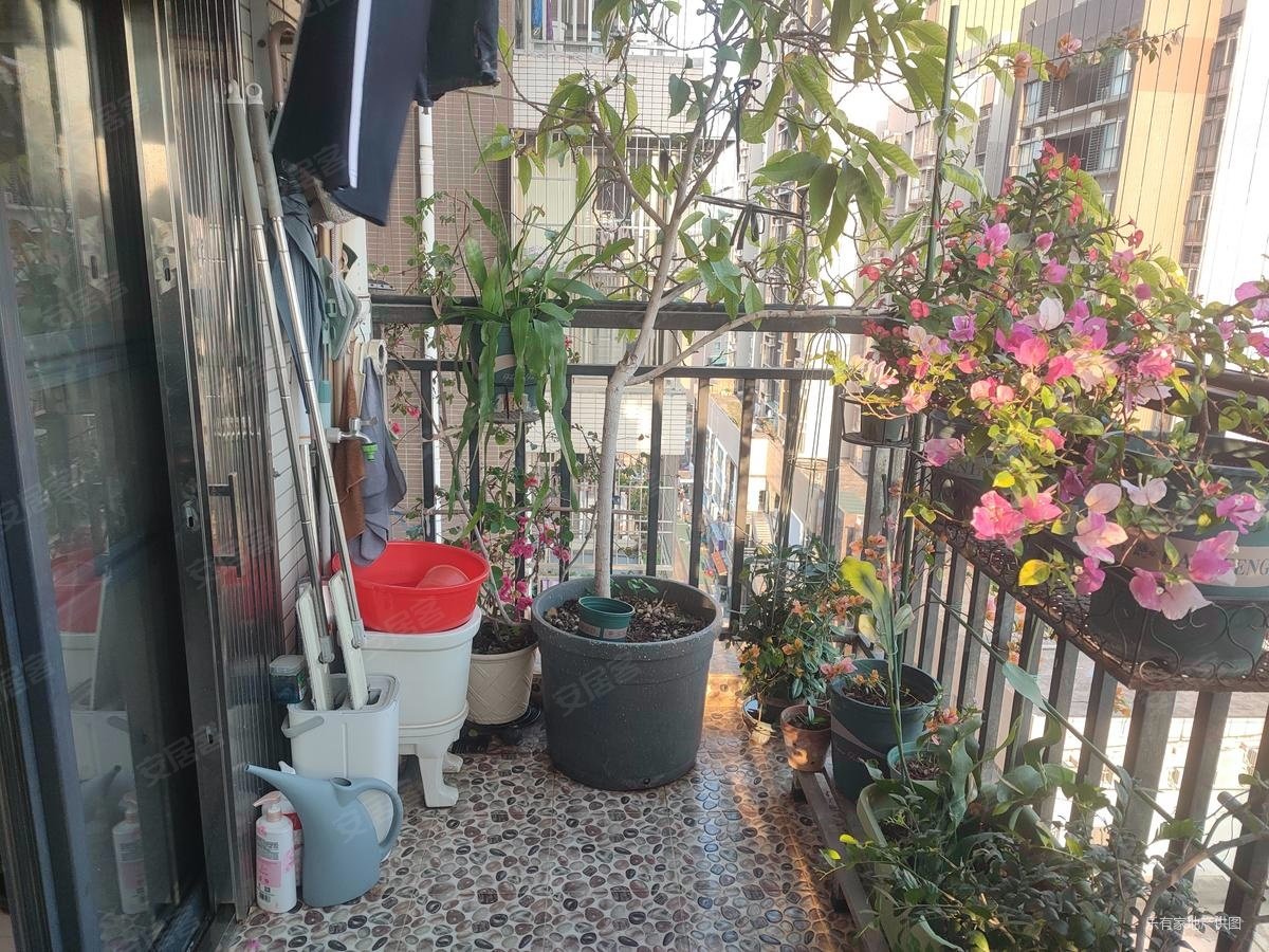 坑梓 满五 带电梯 商圈成熟 次新房 高楼层采光充足,金田风华苑二手房