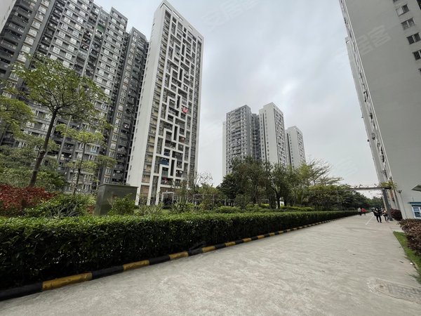 【多图】广氮花园,棠下租房,广氮花园 2室2厅1卫 南北通透 配套齐全 