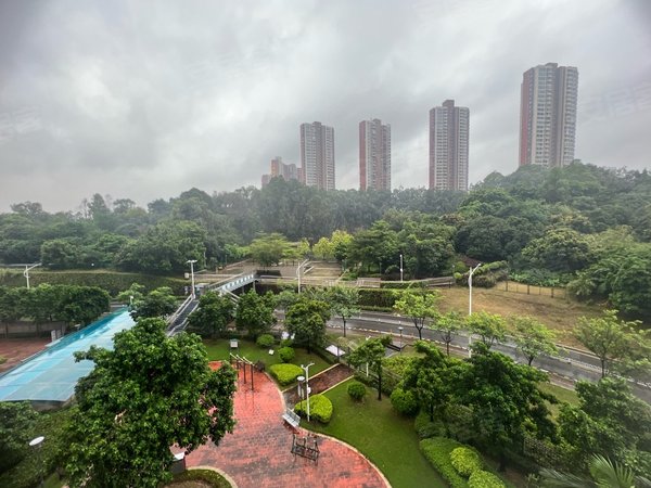 广州增城新塘豪进广场地铁口碧桂园豪进广场2700三房 安静 舒适出租