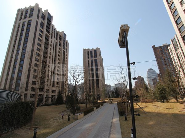 望京租房,正南 4室2厅 保利中央公园,朝阳租房-北京58安居客