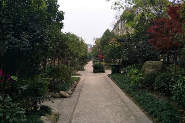 武汉二手房 卧龙丽景湾原墅 > 宋博成解读卧龙丽景湾原墅其他描述