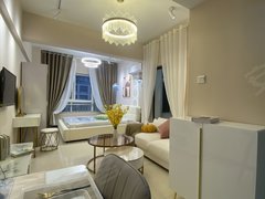 合肥新站新海公园新海尚宸家园(商住楼) 1室1厅1卫 20平 电梯房出租房源真实图片