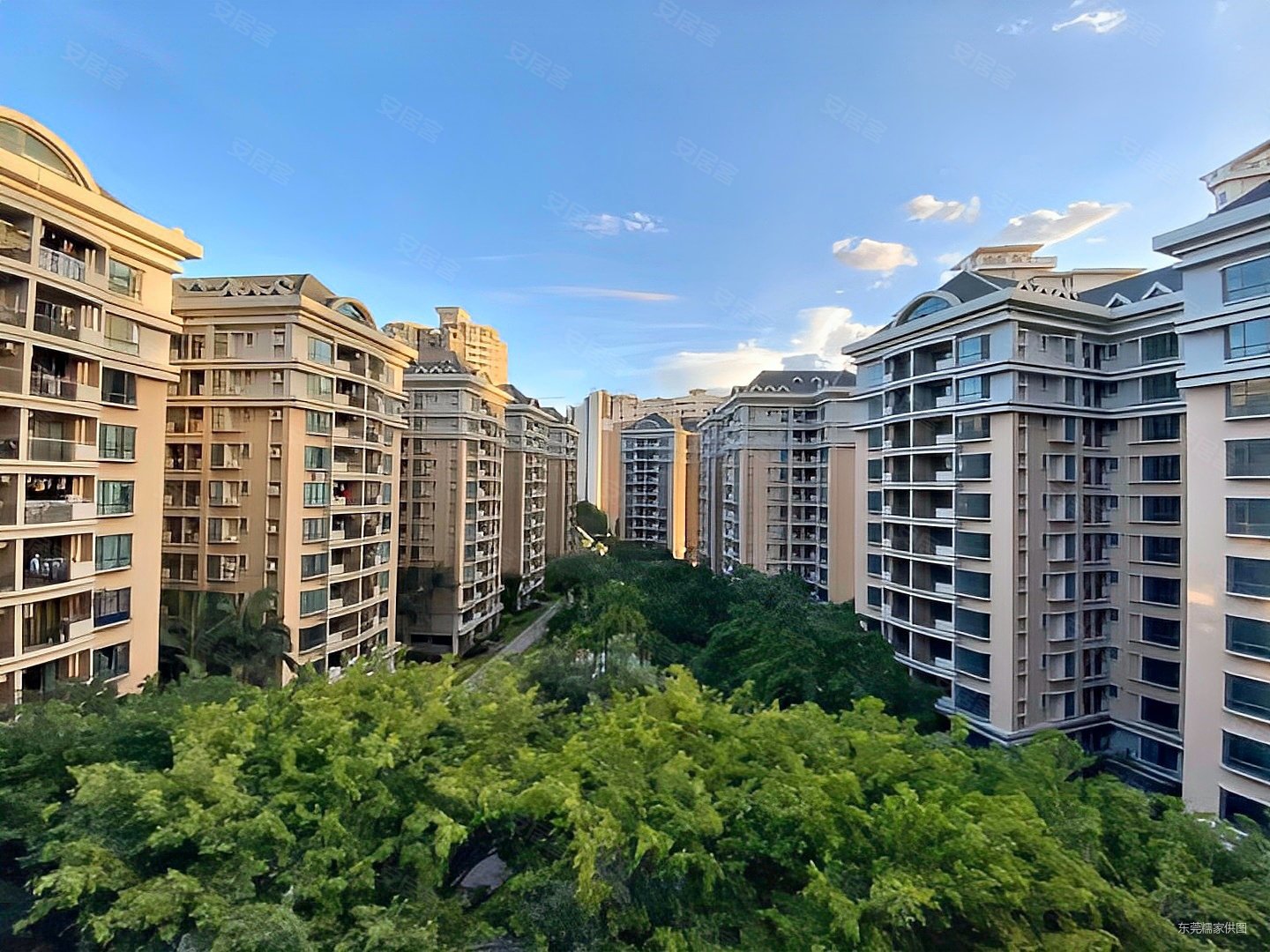 红本房急售满五产权清晰交易快捷丽城花园电梯三房双阳台双卫