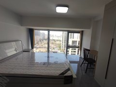 天鹅湖moma公寓一室一厅精装修  近地铁站 石台路公园