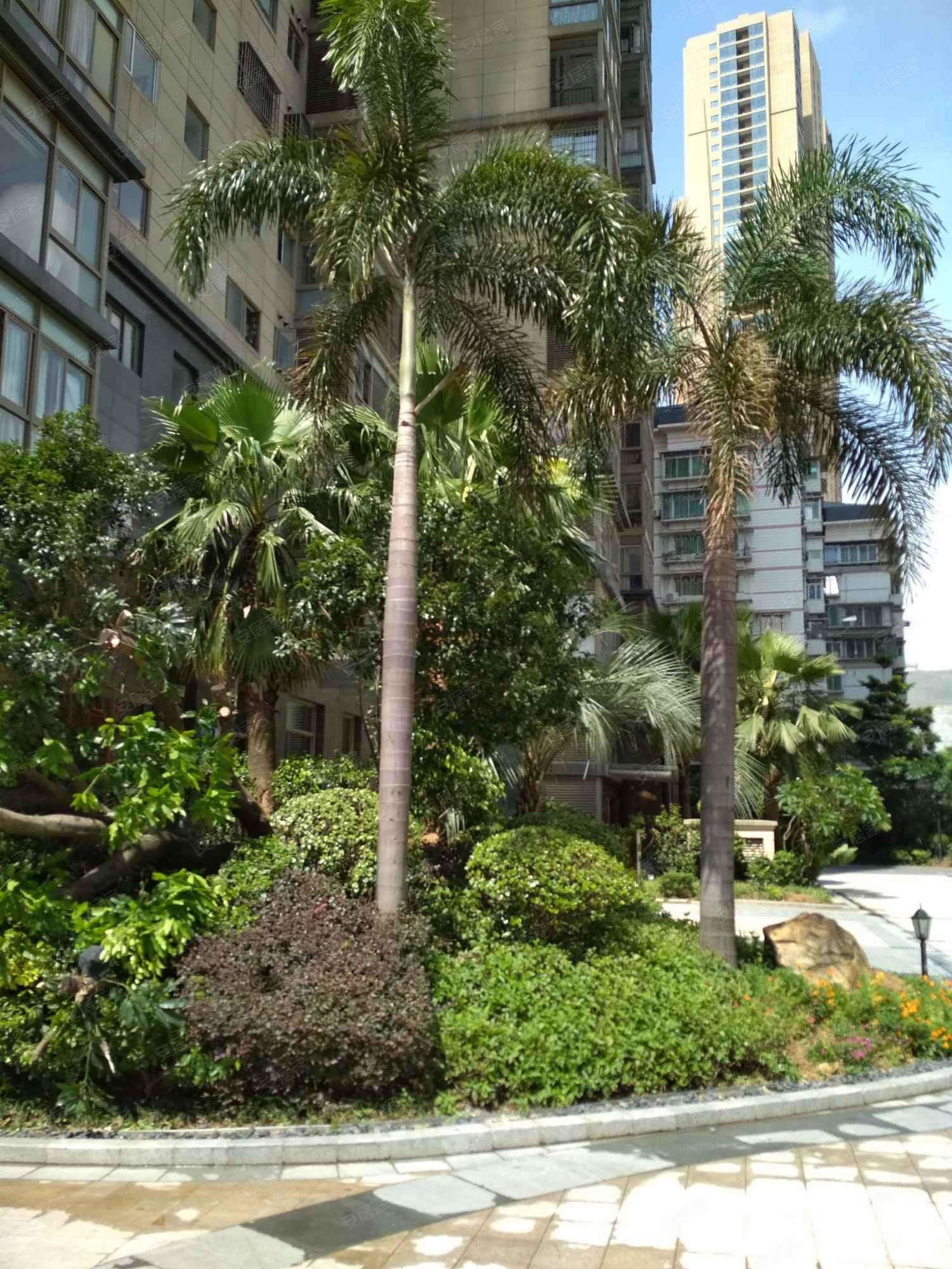 福州二手房 台江二手房 茶亭二手房 世茂茶亭臻园