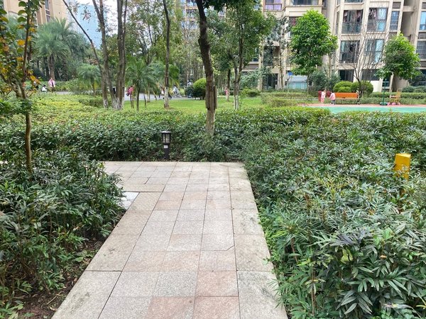 重庆渝北空港中国摩林莺花园中国摩一期精装一室出租出租房源真实图片