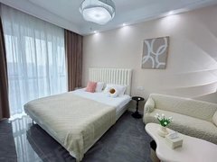 蚌埠蚌山新城区万达对面，凤凰国际旁，南翔城市广场公寓精装修，精装修拎包入住出租房源真实图片