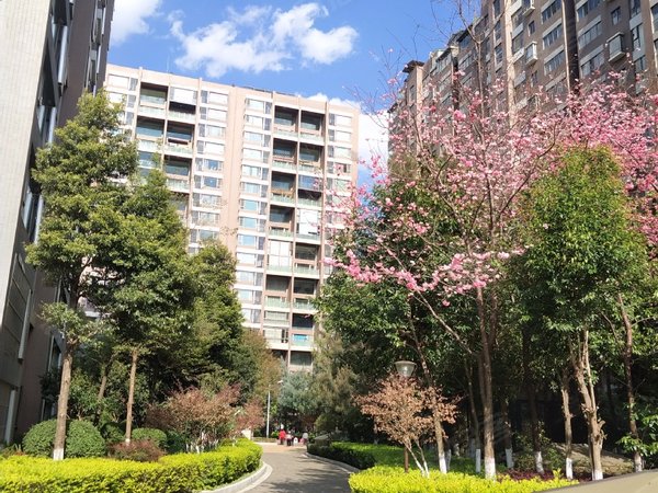 昆明盘龙江东花园金江小区瑞园金江小区瑞园,大跃层6室四卫精装出租