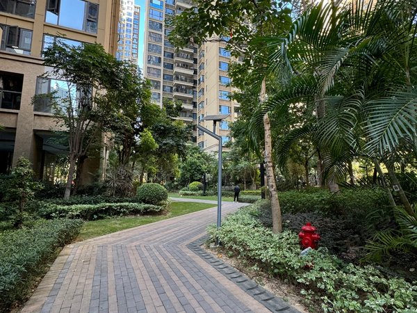 深圳宝安塘尾华强城(一二期)11号线华强城市花园空房招租出租房源真实