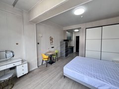 常州天宁茶山弘阳燕澜风华 一居室出租 押一付一 精装修 随时看房出租房源真实图片