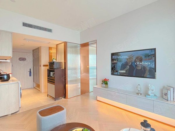 岗顶 地铁三号线天娱广场 暨南大学 华师 一房一厅 带阳台