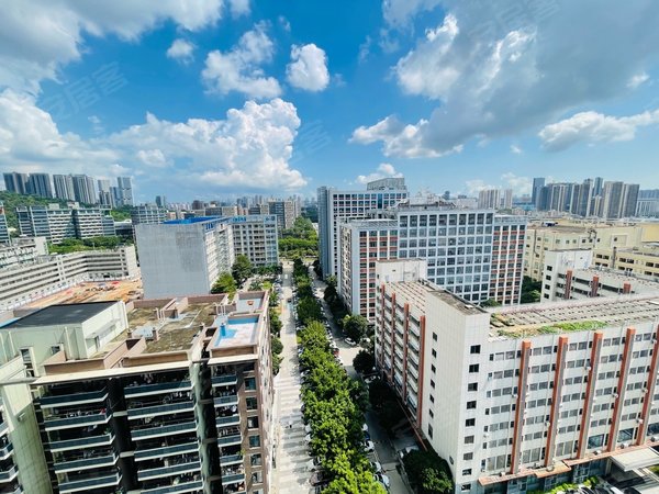 深圳宝安桃源居中粮商务公园地库月卡,超多车位充电桩!