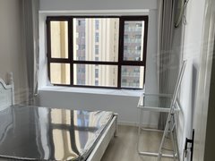 东明东明城区东明市区上海城 南华购物旁 大都会 单间出租 有厨房 民用水电出租房源真实图片