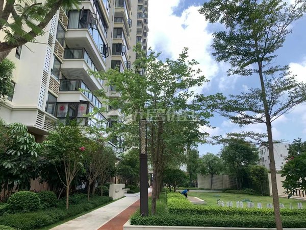 南宁兴宁区政府兴宁大唐果兴宁大唐果 5号地铁 配齐拎包入住 看房方便
