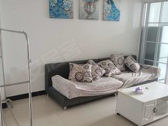 武汉黄陂盘龙城天纵城(商住楼) 1室1厅1卫  电梯房 精装修45平米出租房源真实图片