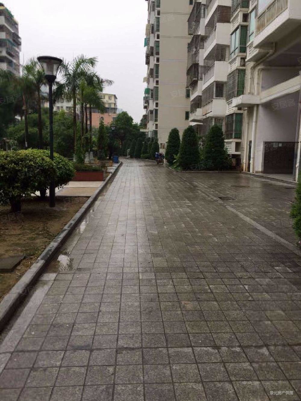 莲前西路金林花园大两房出售好楼层全明户型