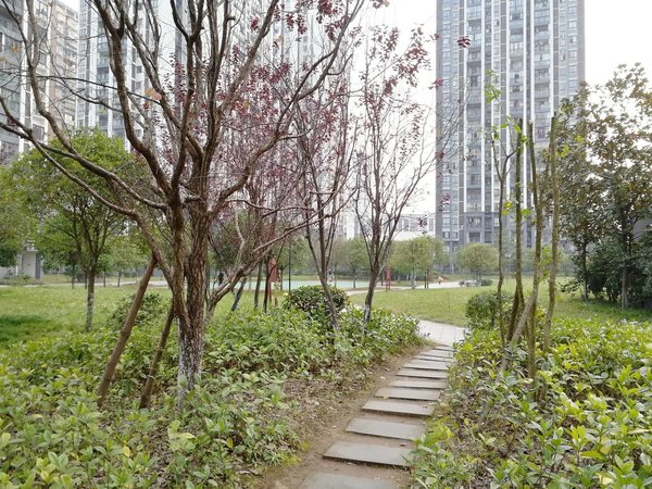 重庆垫江垫江城区东城国际花园天铂对面电梯2房,精装修2台空调全齐年