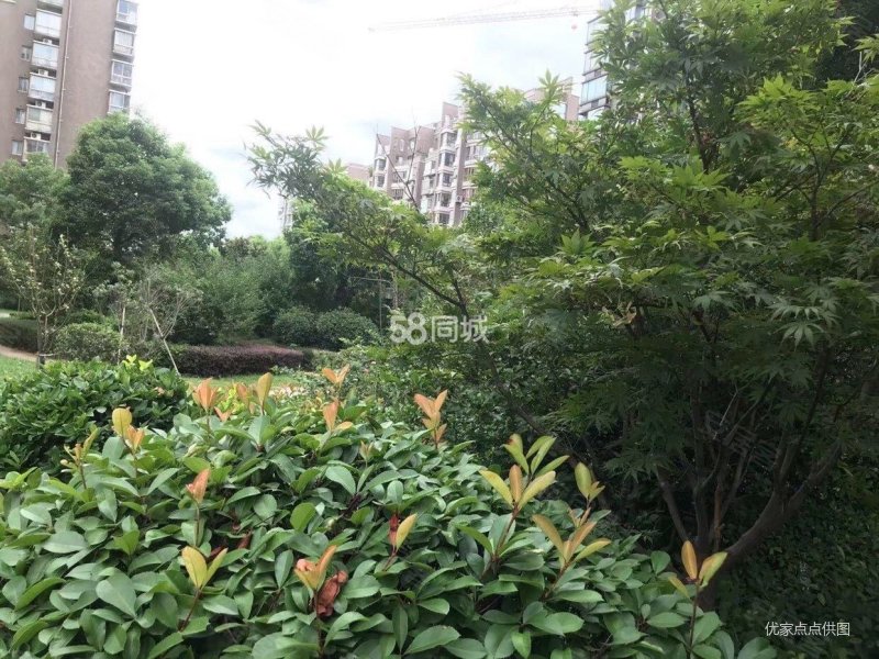 高尔夫国际花园|利源中路88号3室2厅2卫132.37平方米