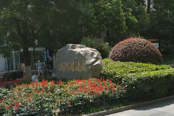 新湖明珠城(一期)