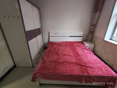 安阳龙安文明大道辅路 3室1厅1卫出租房源真实图片