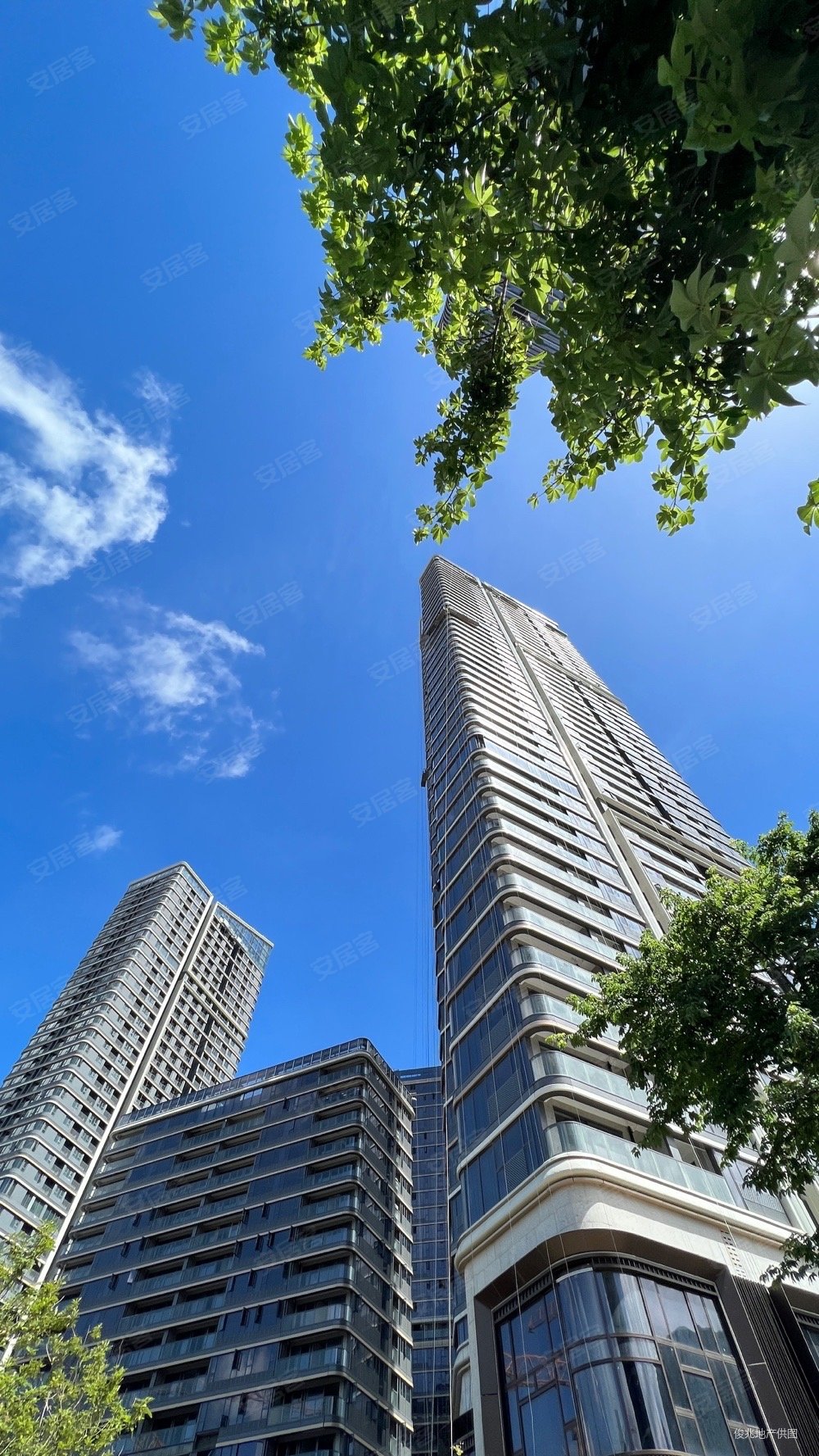 莲塘口岸 毛坯现楼 4房2卫 楼层可选 随时可看,东海富汇豪庭二手房,72