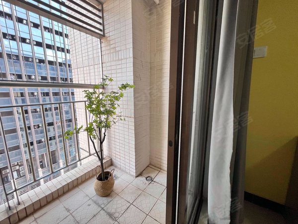 深圳龙岗坂田光雅园近光雅园地铁站 直达福田岗厦 采光通风好出租房源