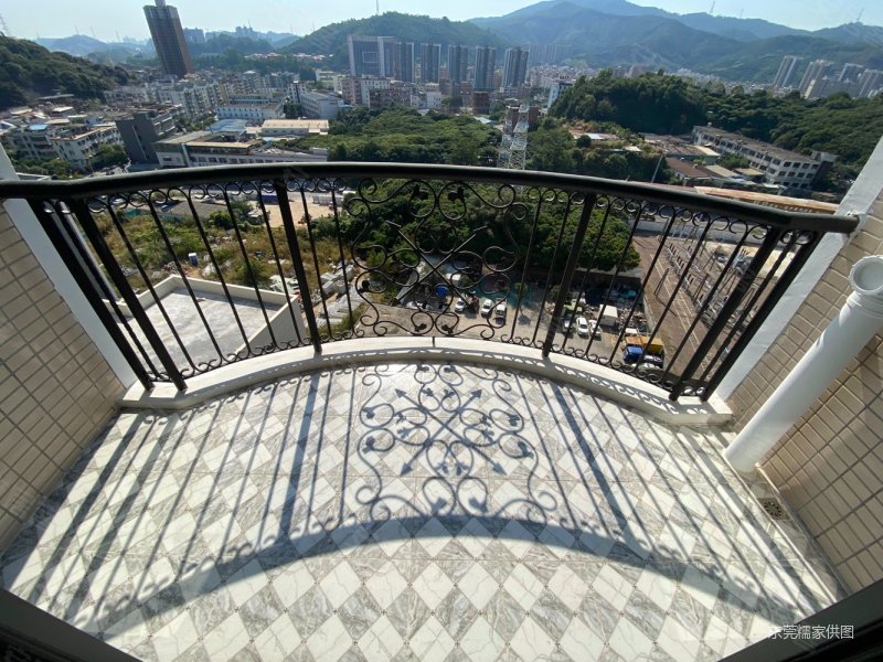 樟木头中心区有电梯 正南朝向 购物方便 商品住宅 楼层好,星耀国际