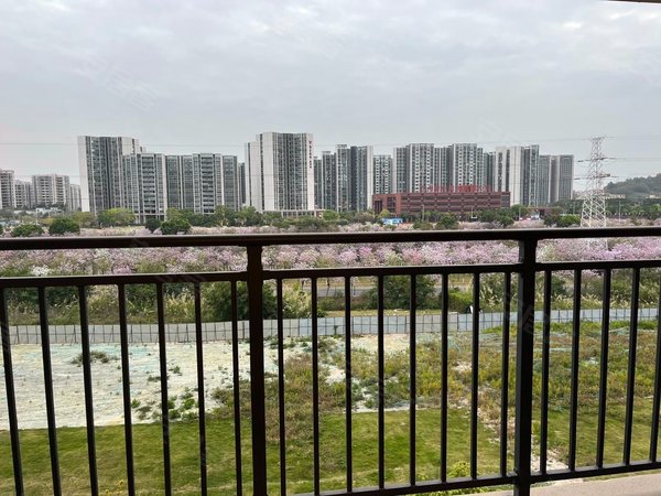 广州花都镜湖大道阳光城兰园翡丽湾阳光城 实拍4房出租 全屋定制家私