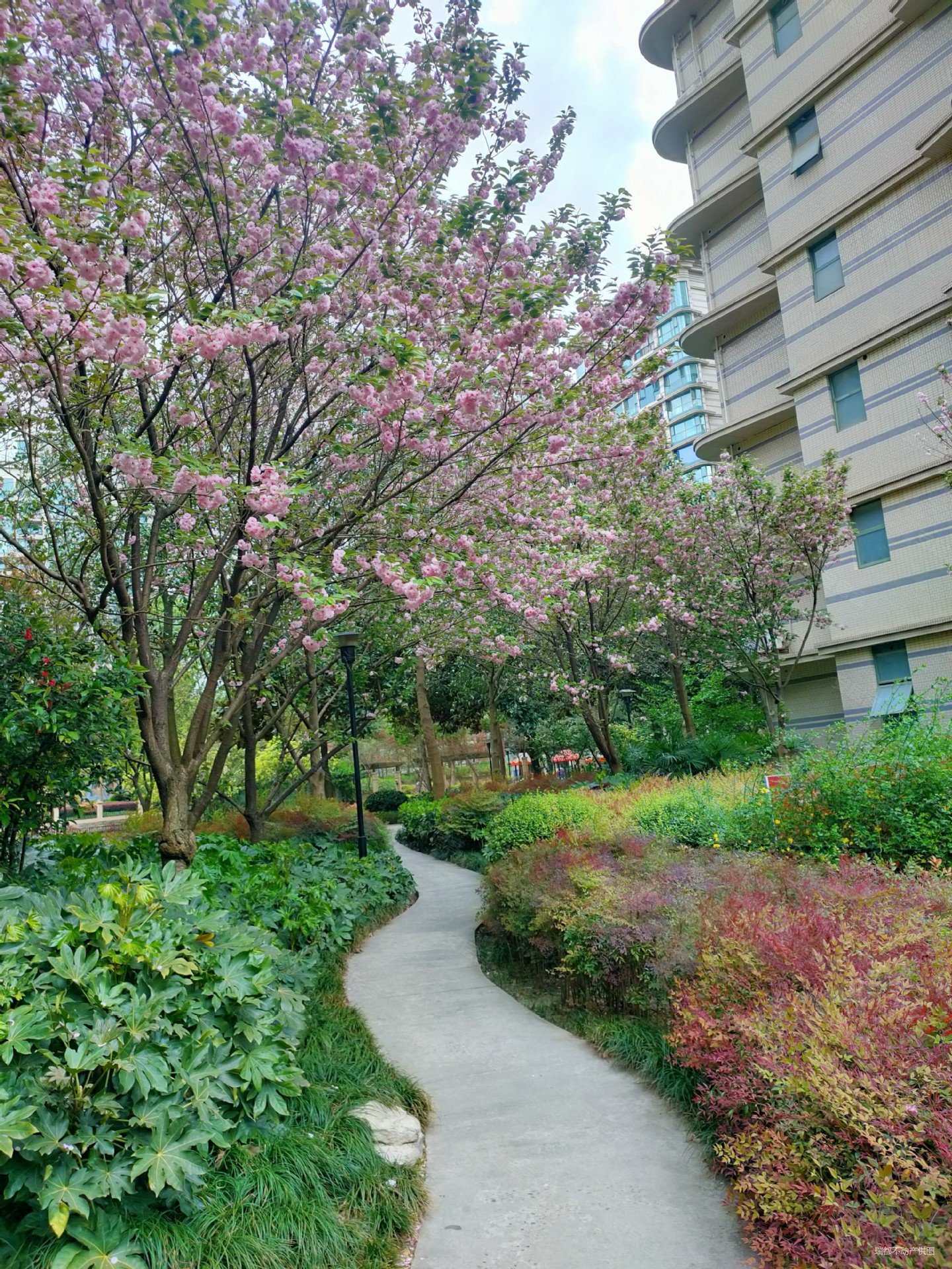成都雅居乐花园