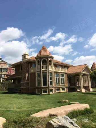 经开区果林水库大独栋别墅带500平米私家花园现房诚心要可小刀